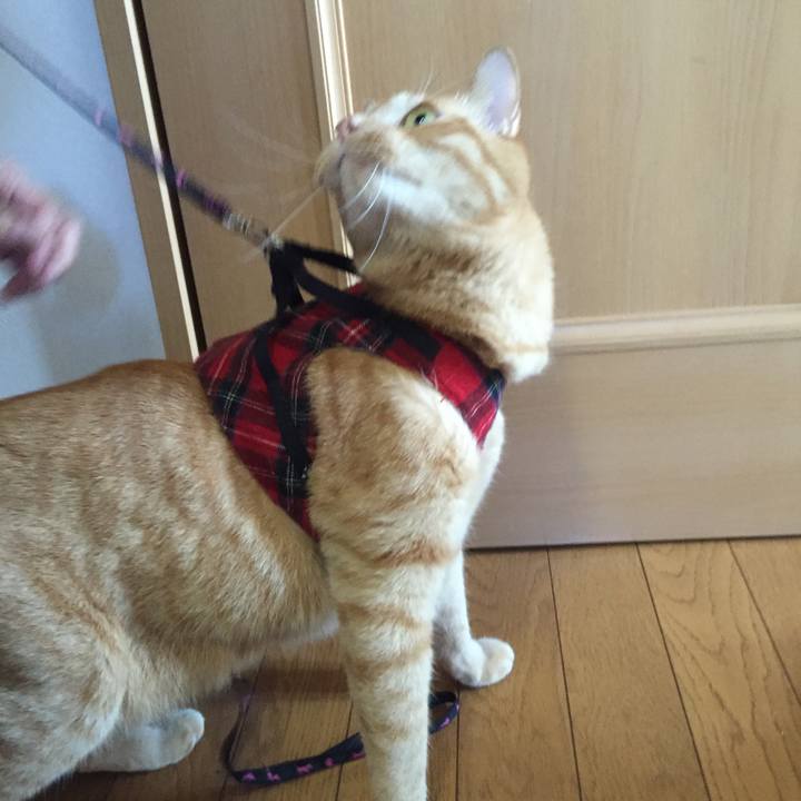 1b5a0011 b505 41fb 9fb5 1e403205d939