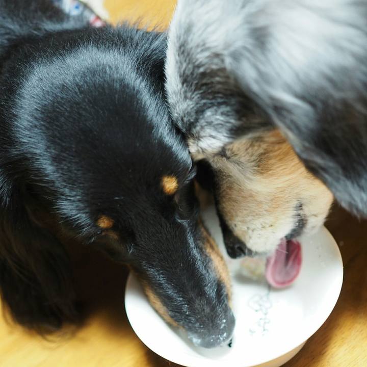 1b5a22a6 ecbb 4fe6 93a0 376fe5943e59