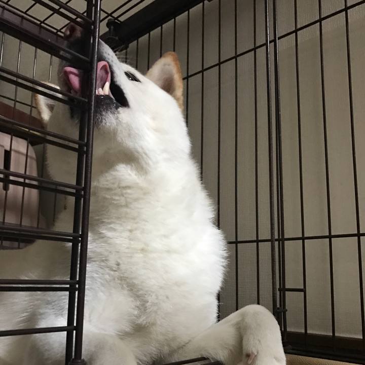 1b5a5d29 1d7e 45a4 bf7e 851462d7e8c7