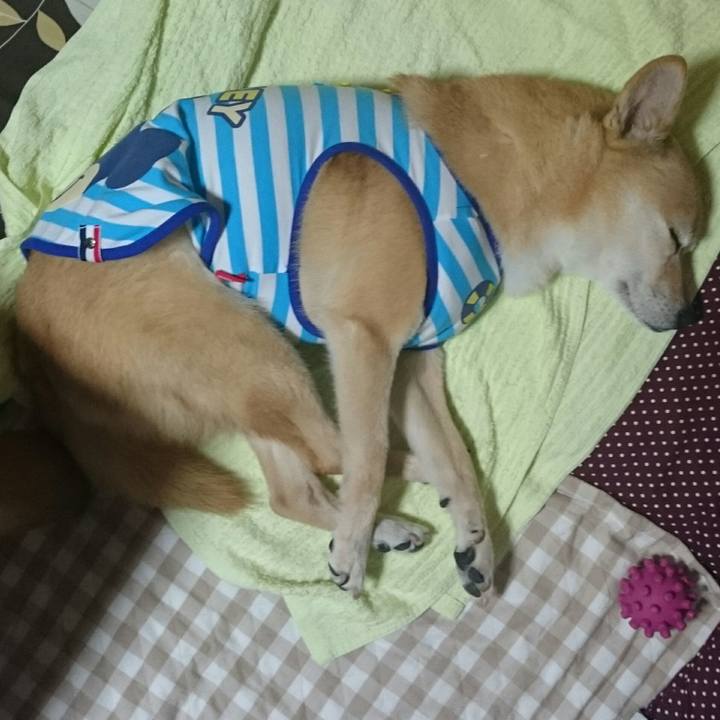 1b5a7b90 82ed 434d bd18 cda8d0cdccf6