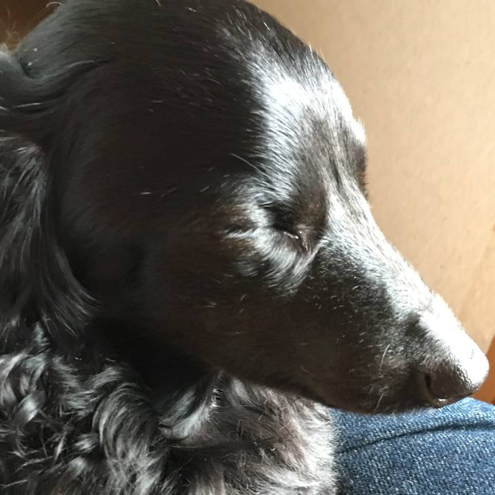 1b5c148f 1eab 48c7 b4ef a04901657c07