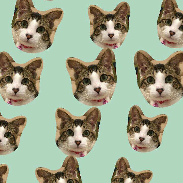 1b5dbaeb a9b8 497b affb 966bd69736dc