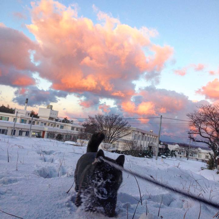 1b5ddb67 dbf3 4c4c a7ca 13de278a7c9c