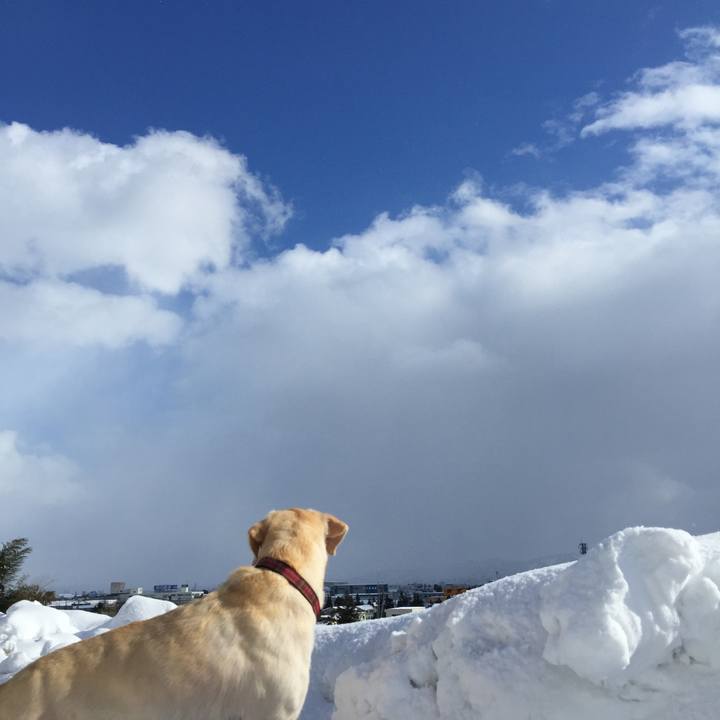 1b5de7cf 07ee 4081 9a4a 5980cecbcaef