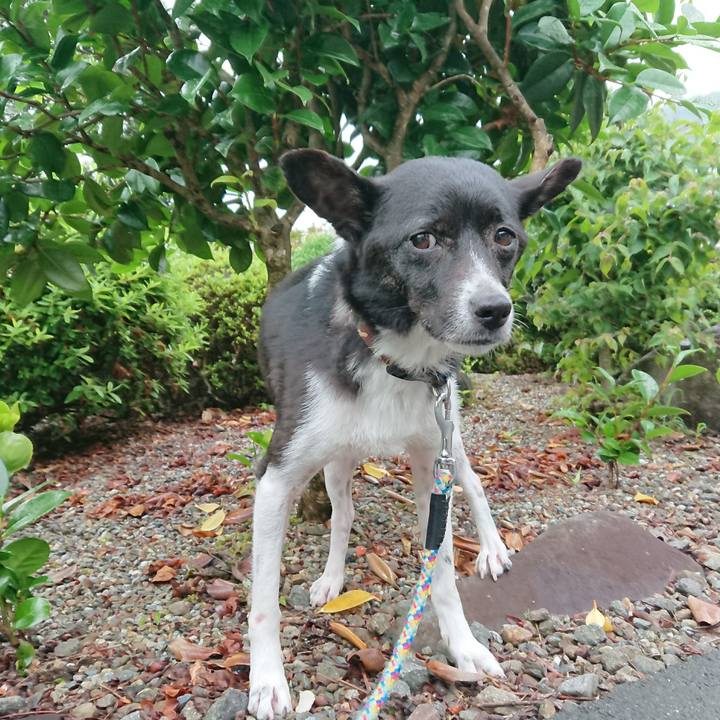 1b5e3b5a 9a32 49c5 a8b4 b323552121fa