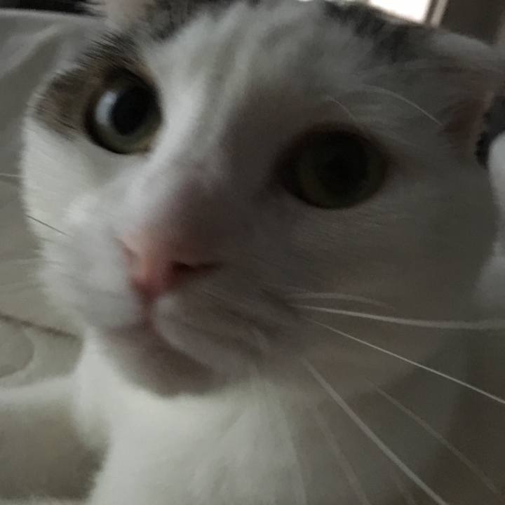 1b5e7f67 31ae 4659 ab1d c3b654509cb5