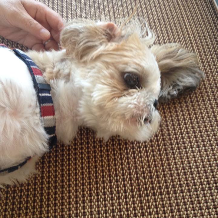 1b5e8f30 62d8 4e79 a15c ff1814db497a