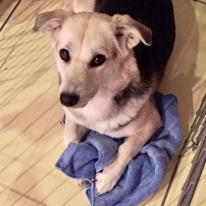 1b5f39d1 af2d 4482 9e3b 028b2e70e650