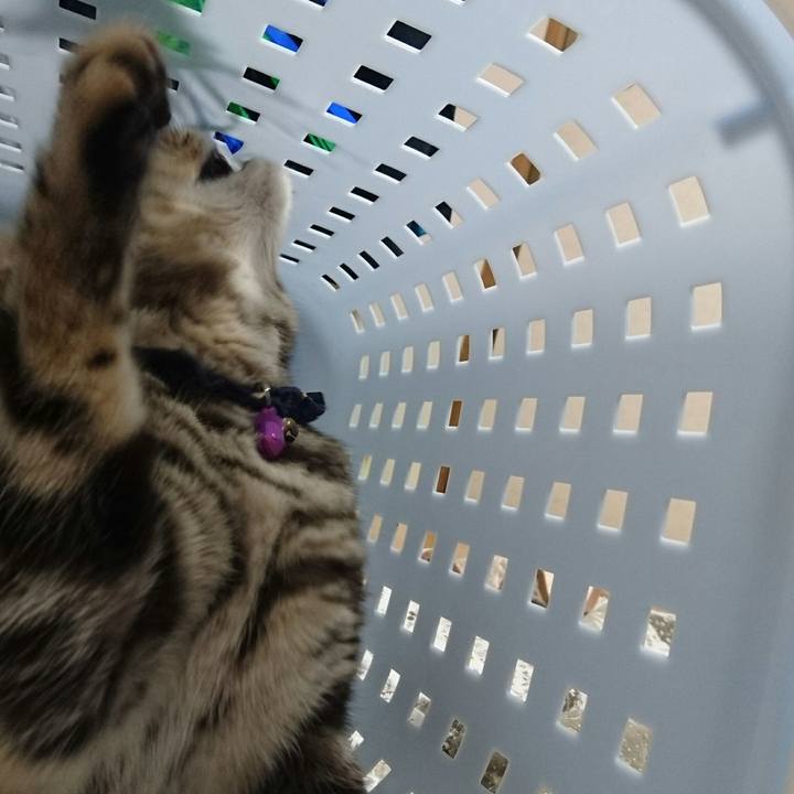 1b5f5532 4b32 4a3e a986 2c94f463effb