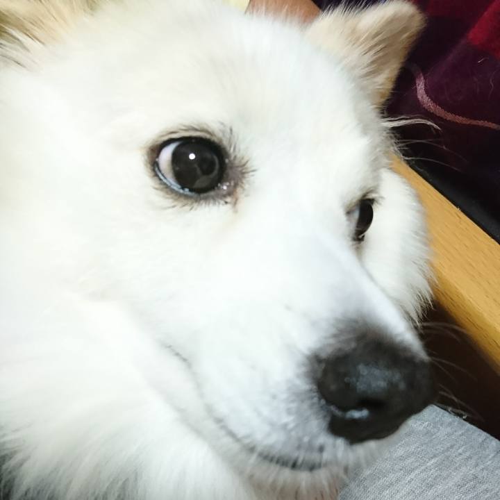 1b609ea6 3374 4c60 9293 33383dc49339