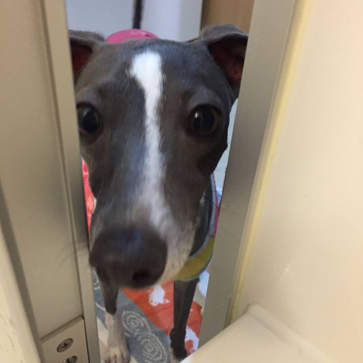 1b61a7bc f43a 4396 a32e e4acd2a227e3