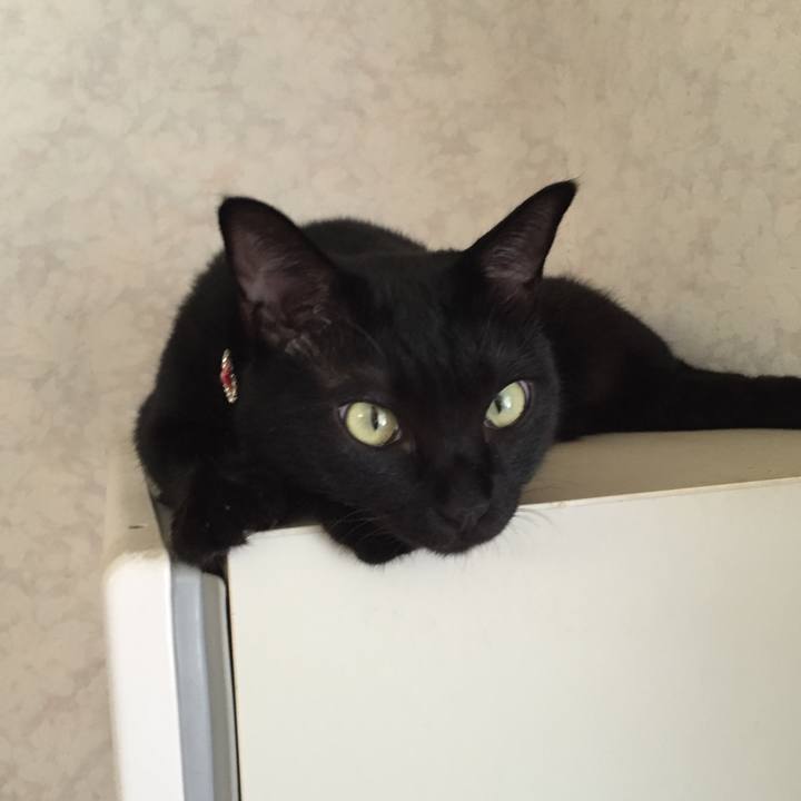 1b61e868 bb94 447f bb66 e24473896cb7