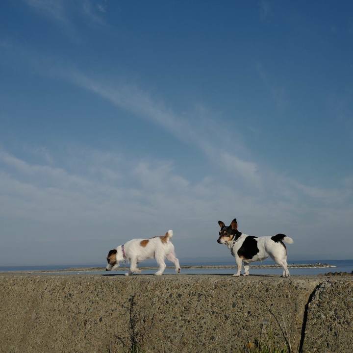 1b620729 6e50 44f1 9342 b908a29ba5d1