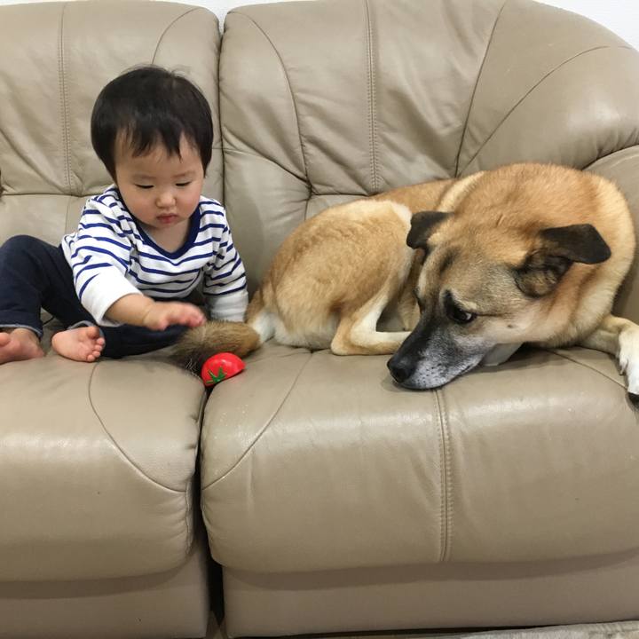 1b622a70 f28b 47d6 b44c 8e281b5704f5