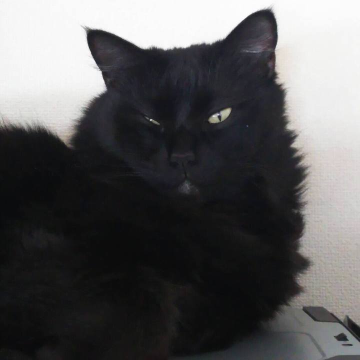 1b629ac1 4d0a 44c0 8d8d 36ab002cb3f0