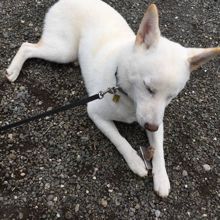 1b629fa6 fc3e 4969 81c2 e4c2b290e180