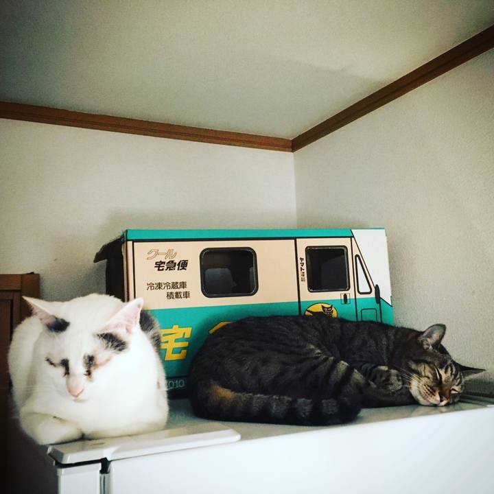 1b62c2d0 3ddc 4ec5 8c9c 234f7a64a4be