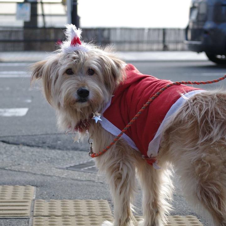 1b62e9f6 2ea9 411d a3f1 58013e578093