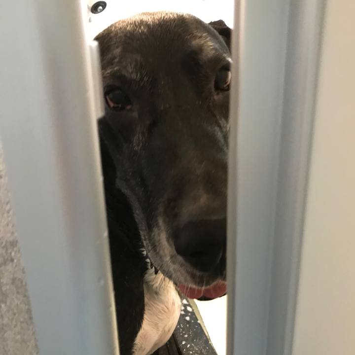 1b636d0e 2c29 4dad adcb 1bc462abdbc2