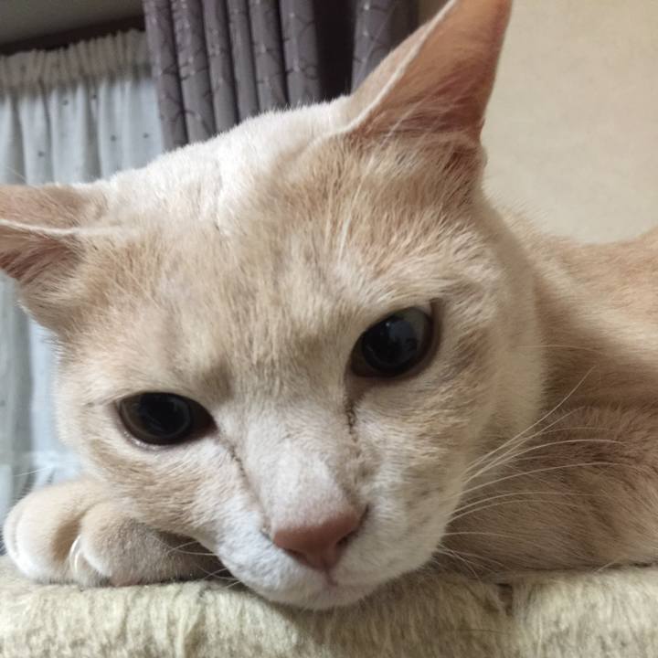 1b647118 cf59 4a0a 8c6c 7f4be8abcb35