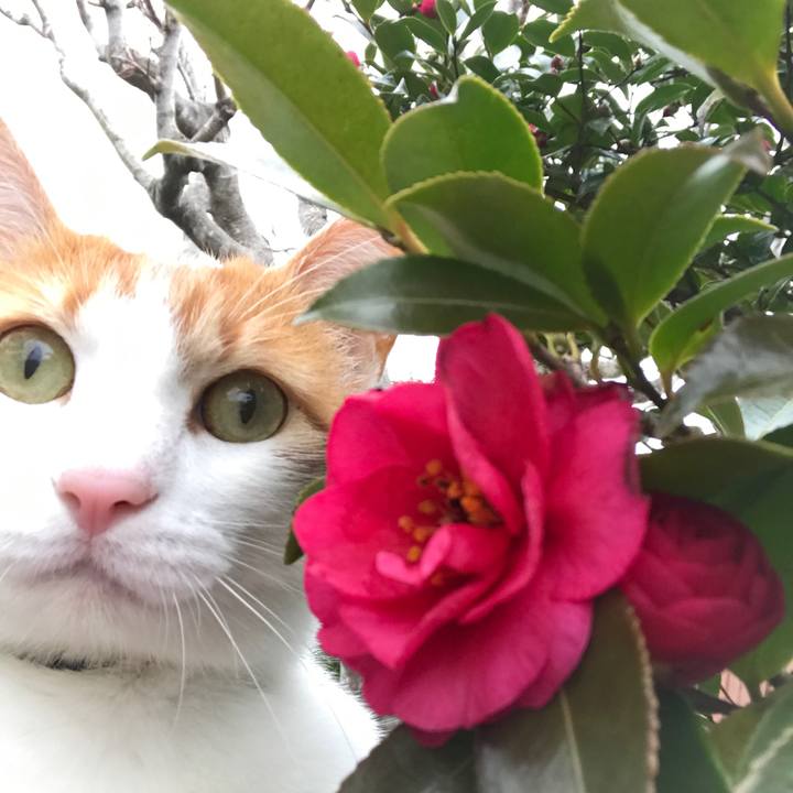 1b64e47c 17d0 4be7 a050 b2436b044d26