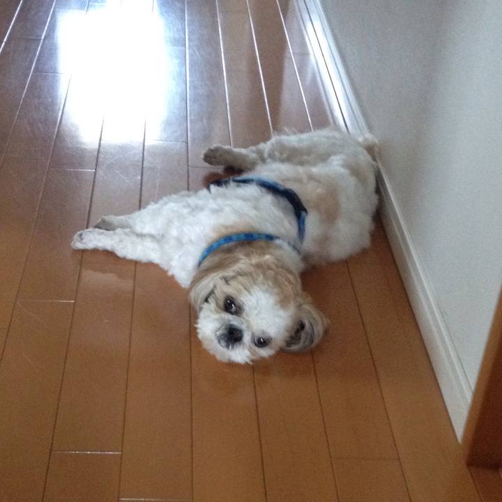 1b654bdc a6df 48a0 a1f1 3a909faf19ae