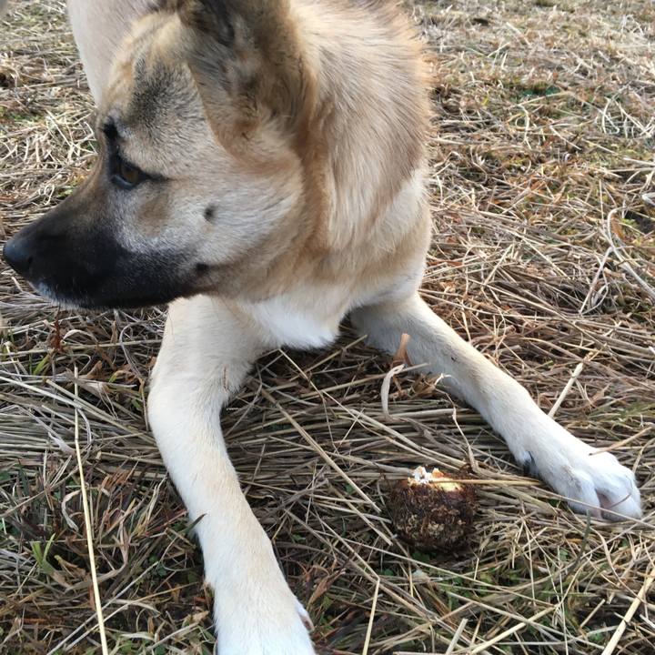 1b6576bf d098 4f6d b39f 55c7a94090fe