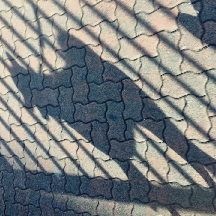 1b6617dc b419 4479 acf1 6a4b123ea8b3