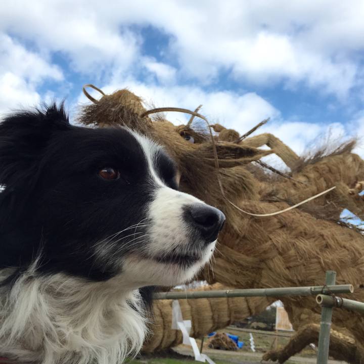 1b66235e d0c7 480f b47b e1181c61e6bb