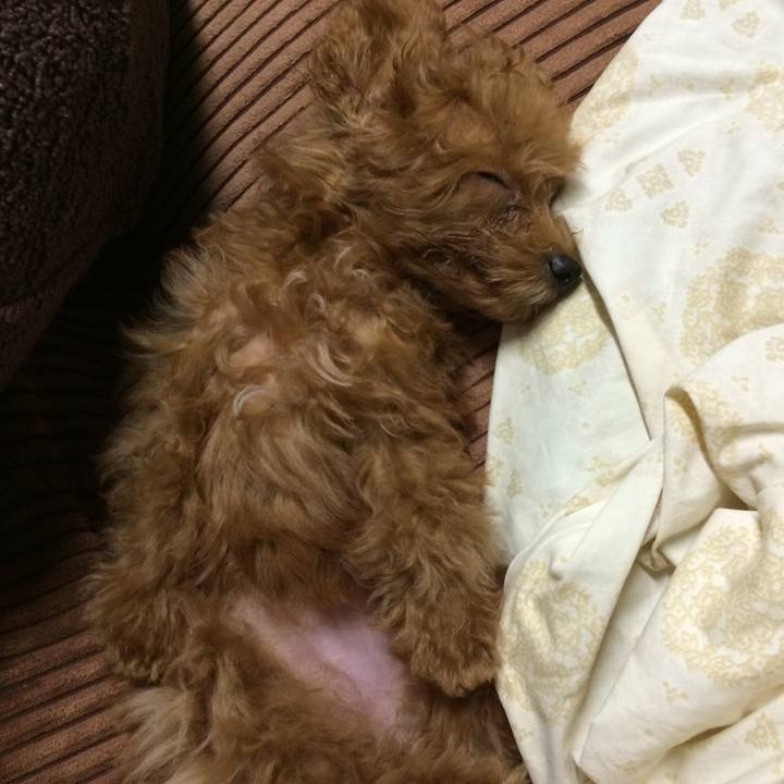 1b662850 49fe 444e adf1 e451b6008648