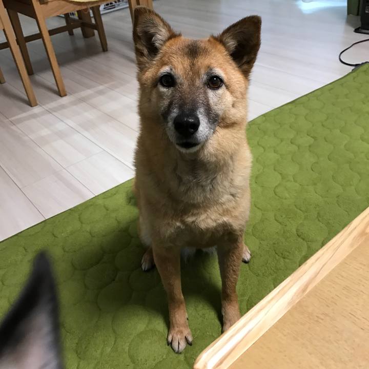 1b67bea9 7adb 450b a93c 3d4c46062e34