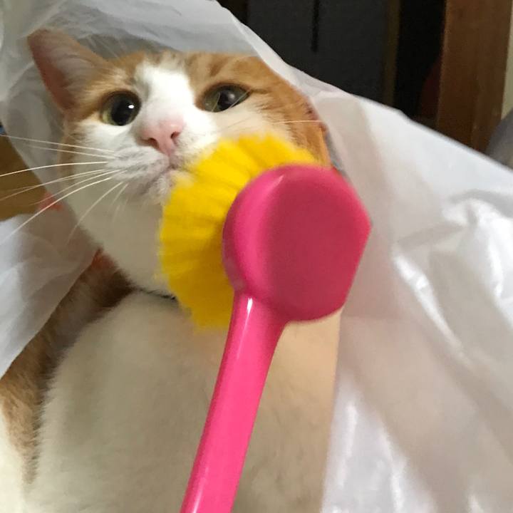 1b688558 5e7c 49f4 b8fd c58d89b0cb49