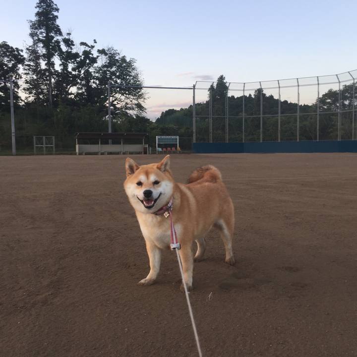 1b68f095 af24 45d7 aea4 8d4f9fb51bb2