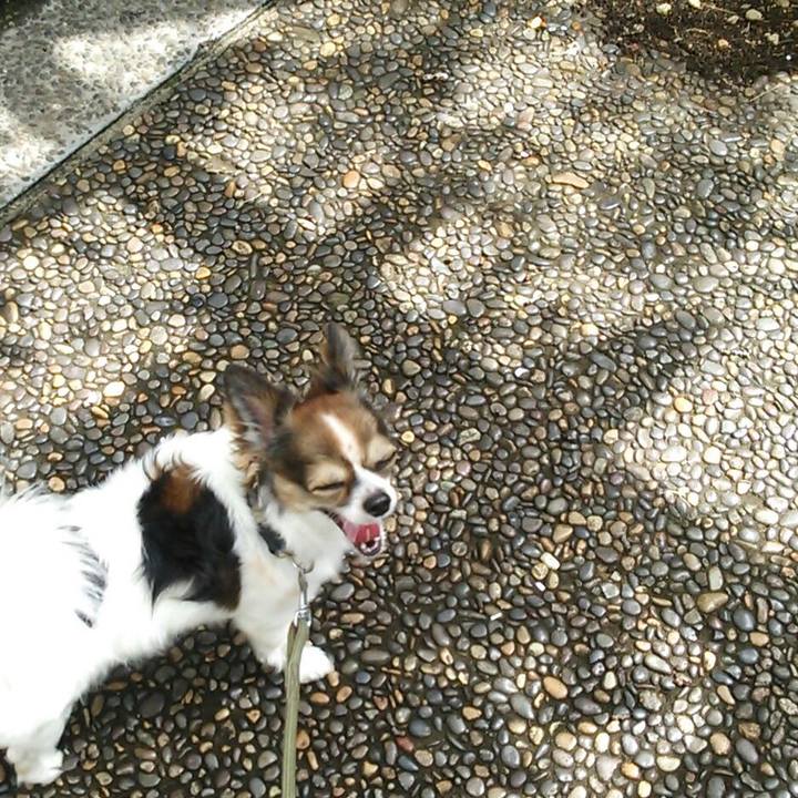 1b696365 b7ef 422f 878e 7a7b7b00f2c4