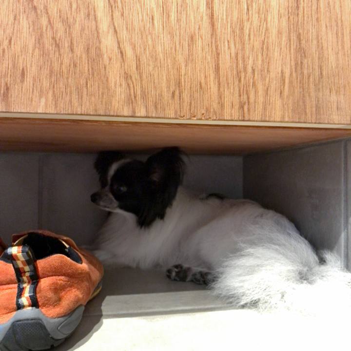 1b697e9b 3806 4d60 8efd 8ea6297e20aa