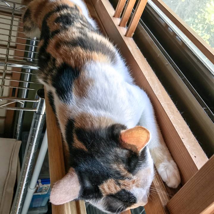 1b69a2cf 4b23 4db8 9103 28306e671436