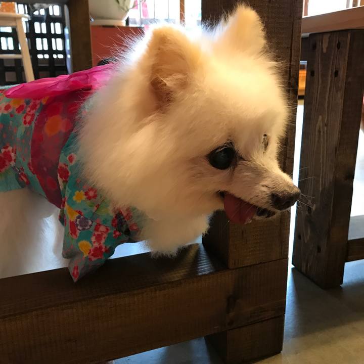 1b69edd0 560c 4d80 b513 73bfdaa2dd28