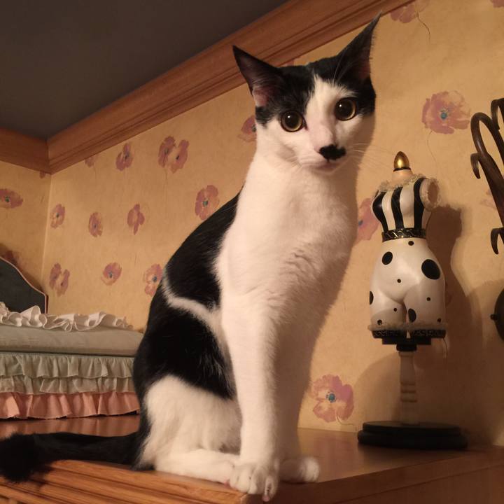 1b69ef28 c86f 4695 89d5 df4bb2985d34