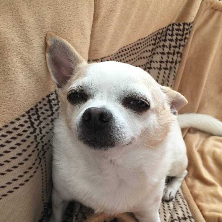 1b6a147d 3e78 430b a988 928625c77155