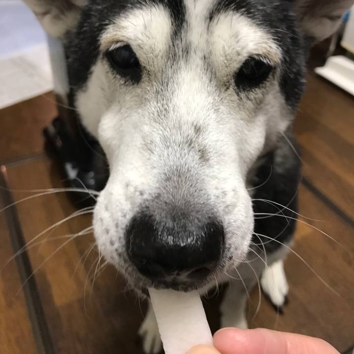 1b6a3361 9e7e 4395 b3f0 4c3ba89d6c29