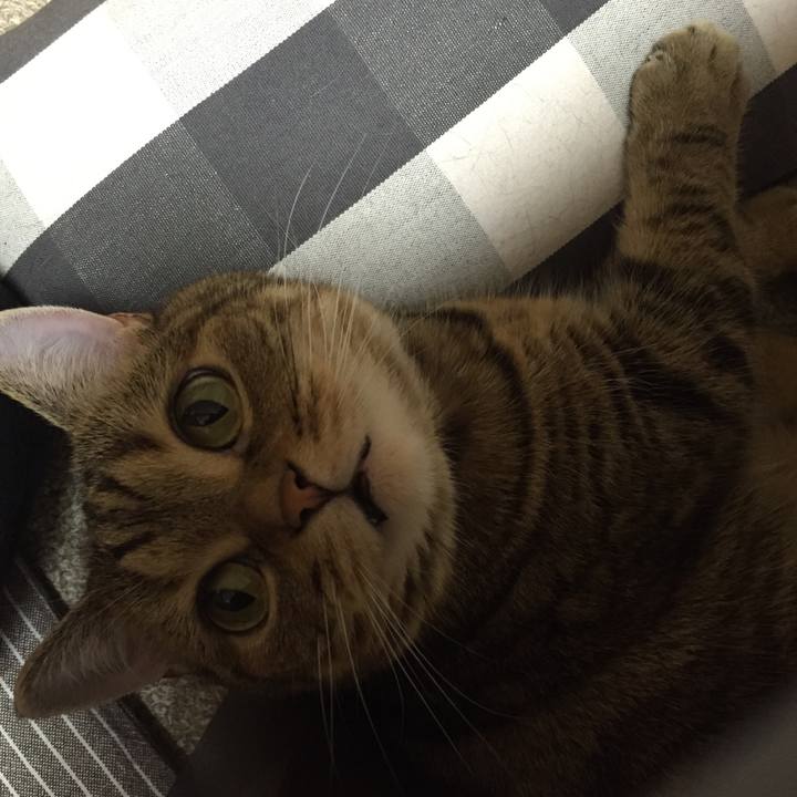 1b6a8939 7084 4d60 95fe ddabd4445760