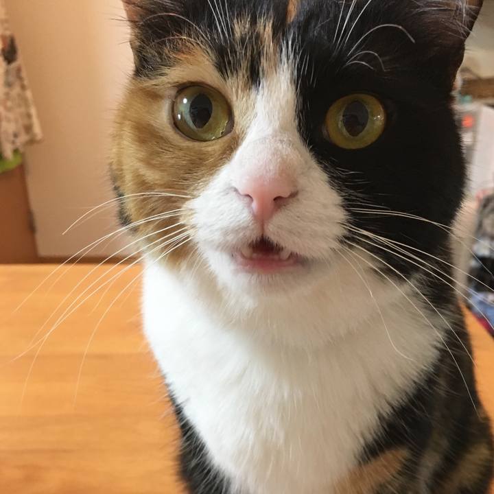 1b6b14c9 c12c 496c 96b7 192b49392902