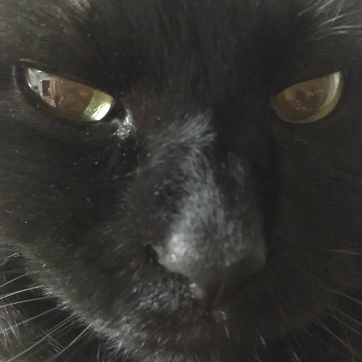 1b6b3726 89ef 4a2a 8b08 1b96474d19a1