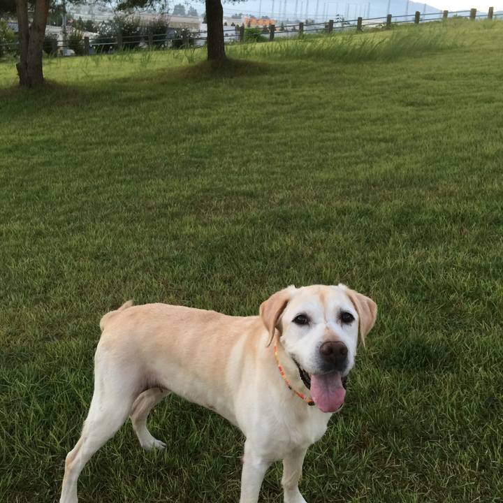 1b6bffbe 829e 4dd4 8ee5 02723730b60b