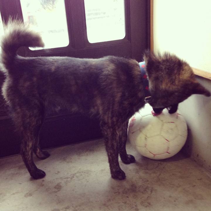 1b6c01e4 5472 4429 a98c 066c1290e5c2