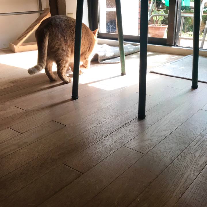 1b6c3efa 9e03 44c8 ac32 b45c21fce7e4