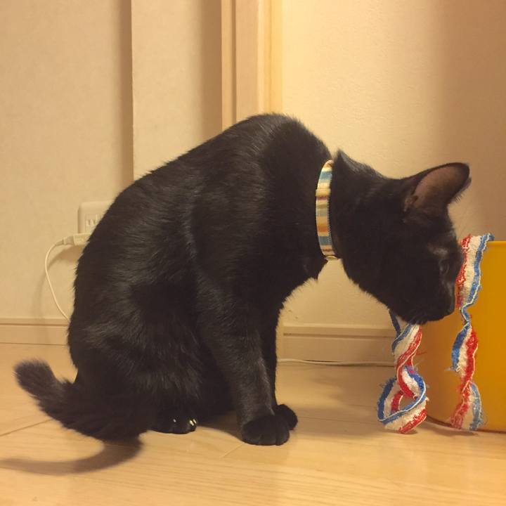 1b6c72e4 8203 4358 a5c0 bf506c932003