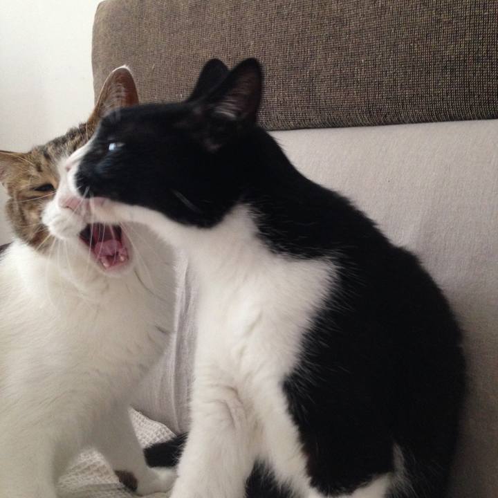 1b6d6026 bef6 4566 bb1d 5e85ee663b7e