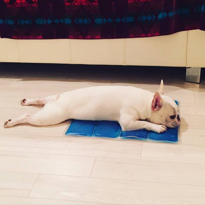 1b6db01a 2d0f 4689 816f a4344fe27be2