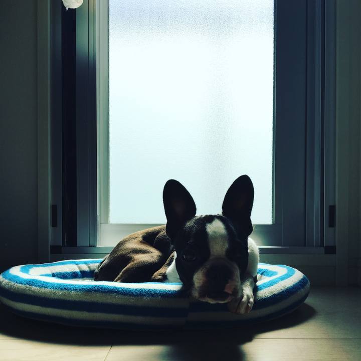 1b6e02f3 2fa5 4aad a3c8 193fbd3e5723